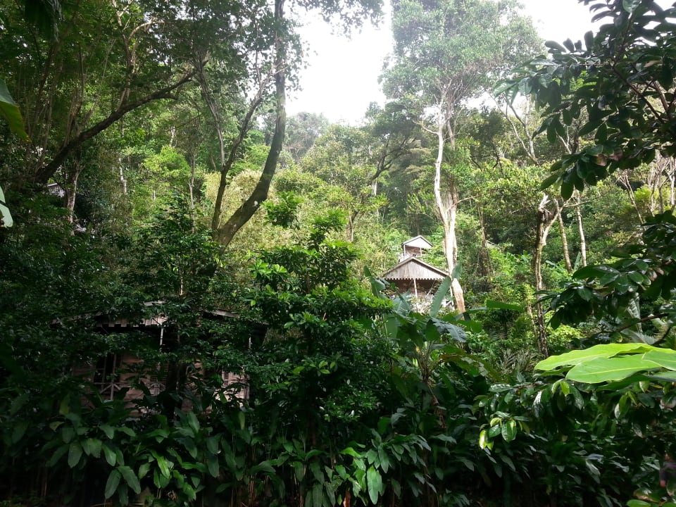 Cottages Hotel Jungle Bay Resort & Spa