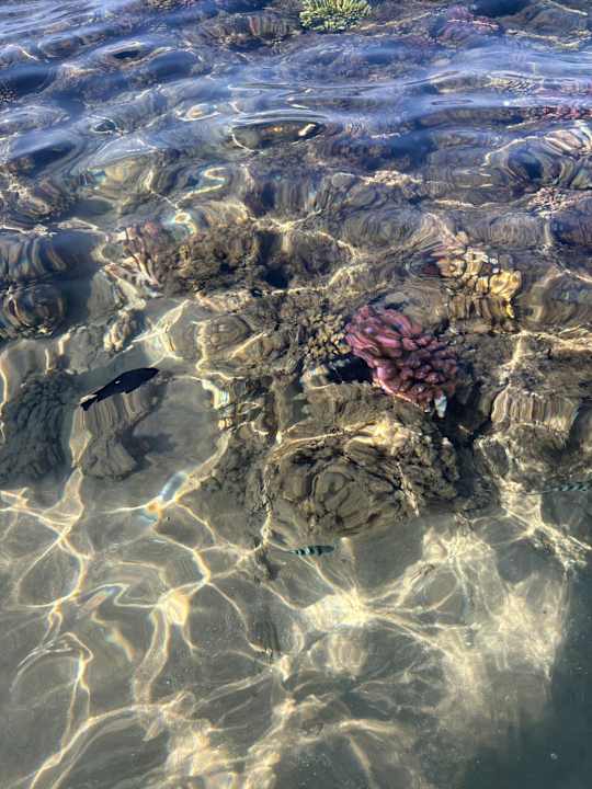 Strand Menaville Safaga