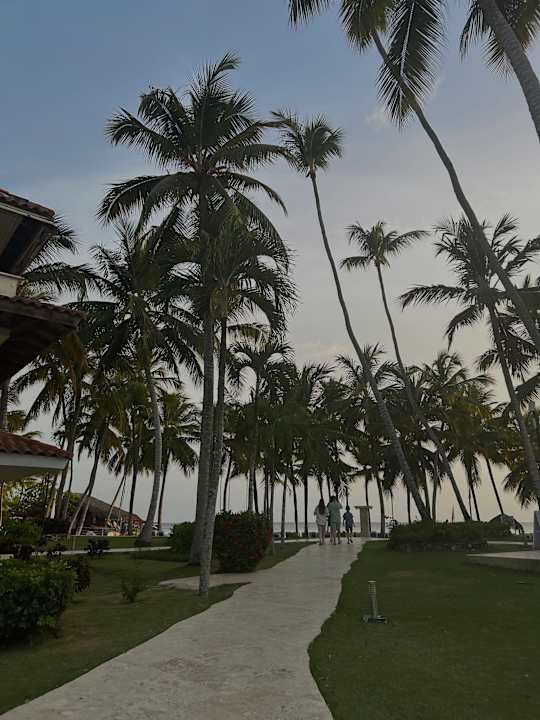 Außenansicht Hotel Viva Dominicus Palace by Wyndham-All Inclusive Resort