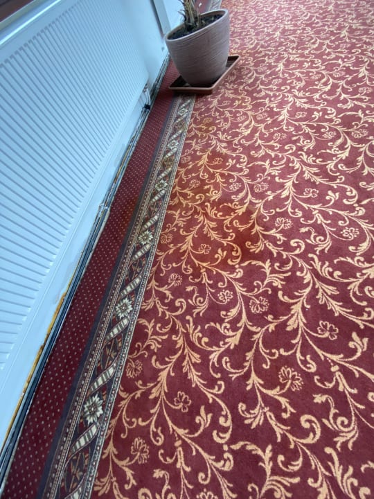 Sonstiges Vitalhotel König am Park