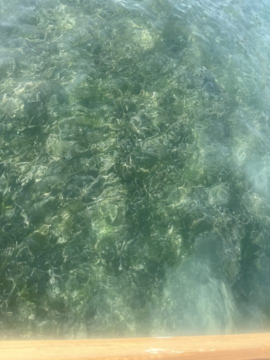 Strand Impression Isla Mujeres by Secrets - Adults Only