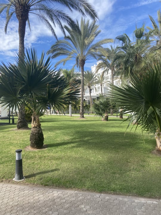 Pool Hotel Riu Palace Maspalomas Adults Only