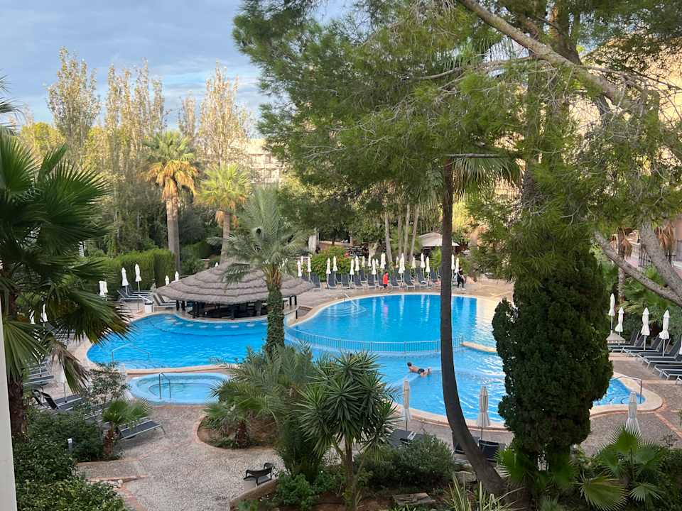 Pool allsun Hotel Lago Playa Park
