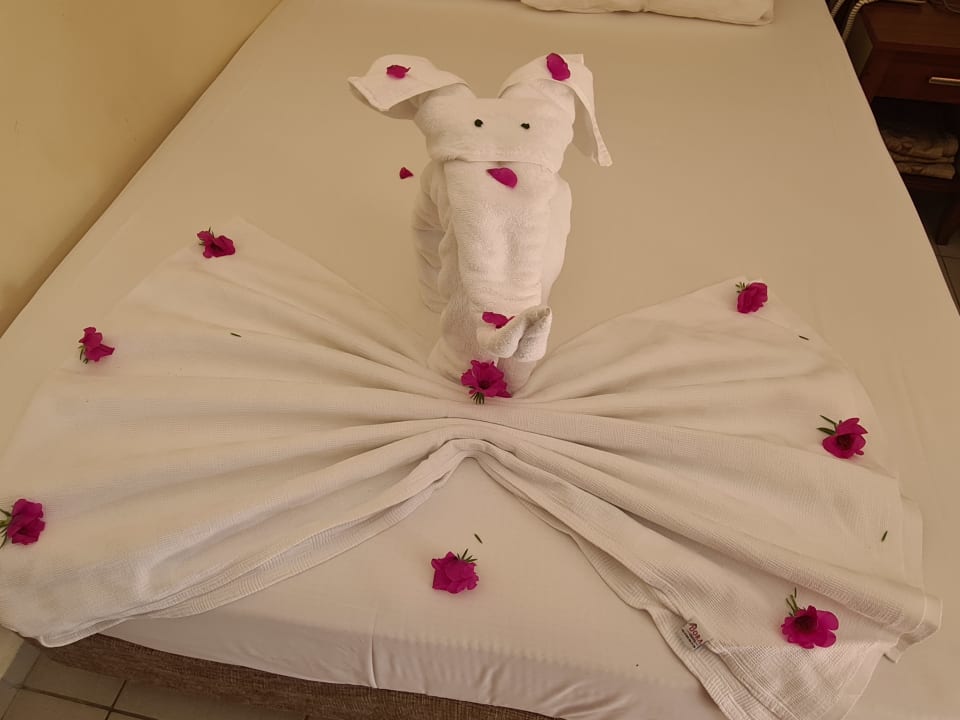 Zimmer Özlem Garden Hotel