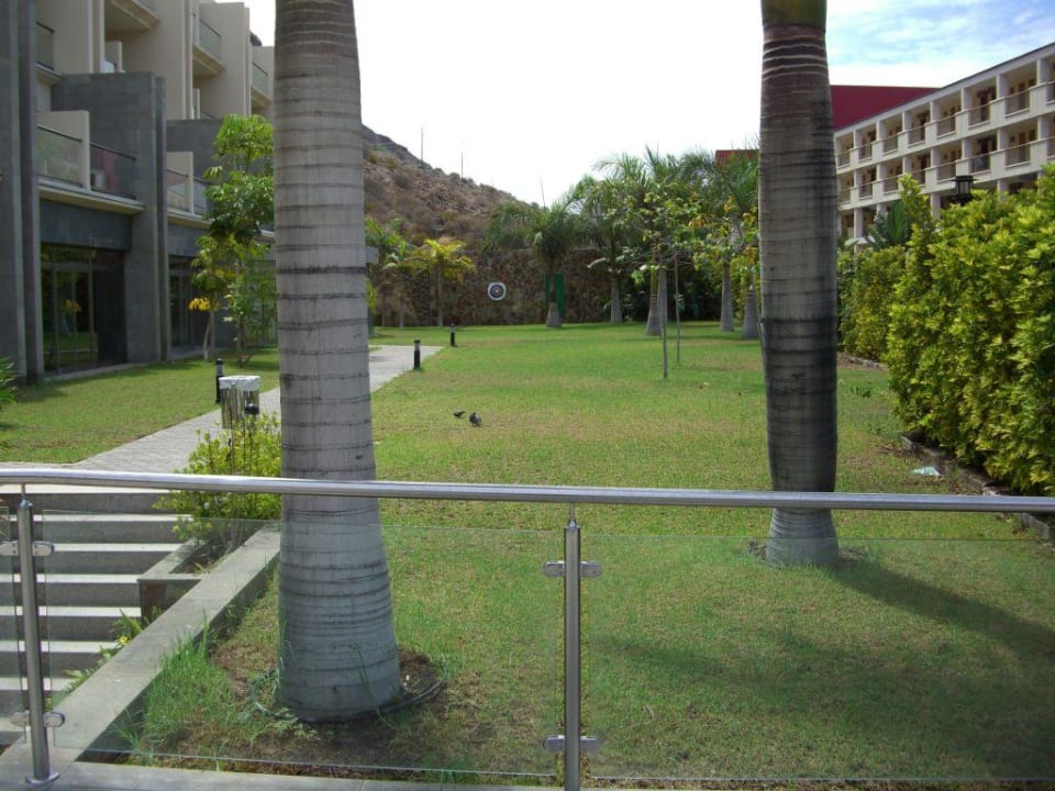 Garten LIVVO Costa Taurito