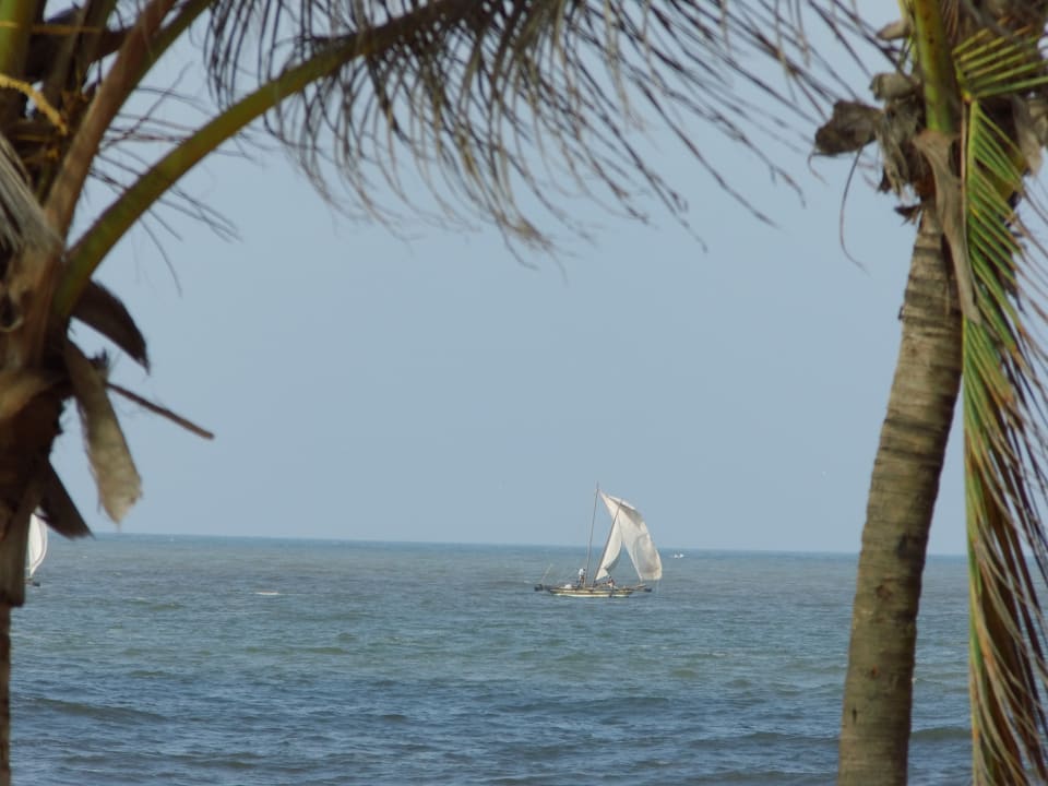 Strand Club Hotel Dolphin
