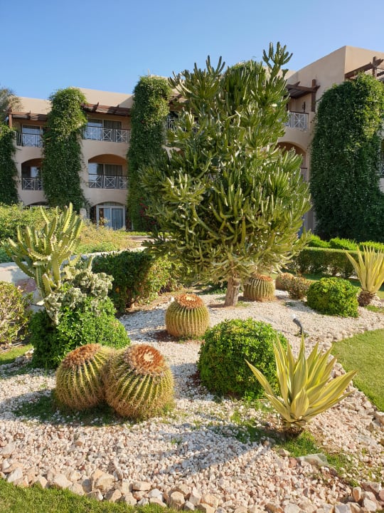 Gartenanlage Prima Life Makadi Resort