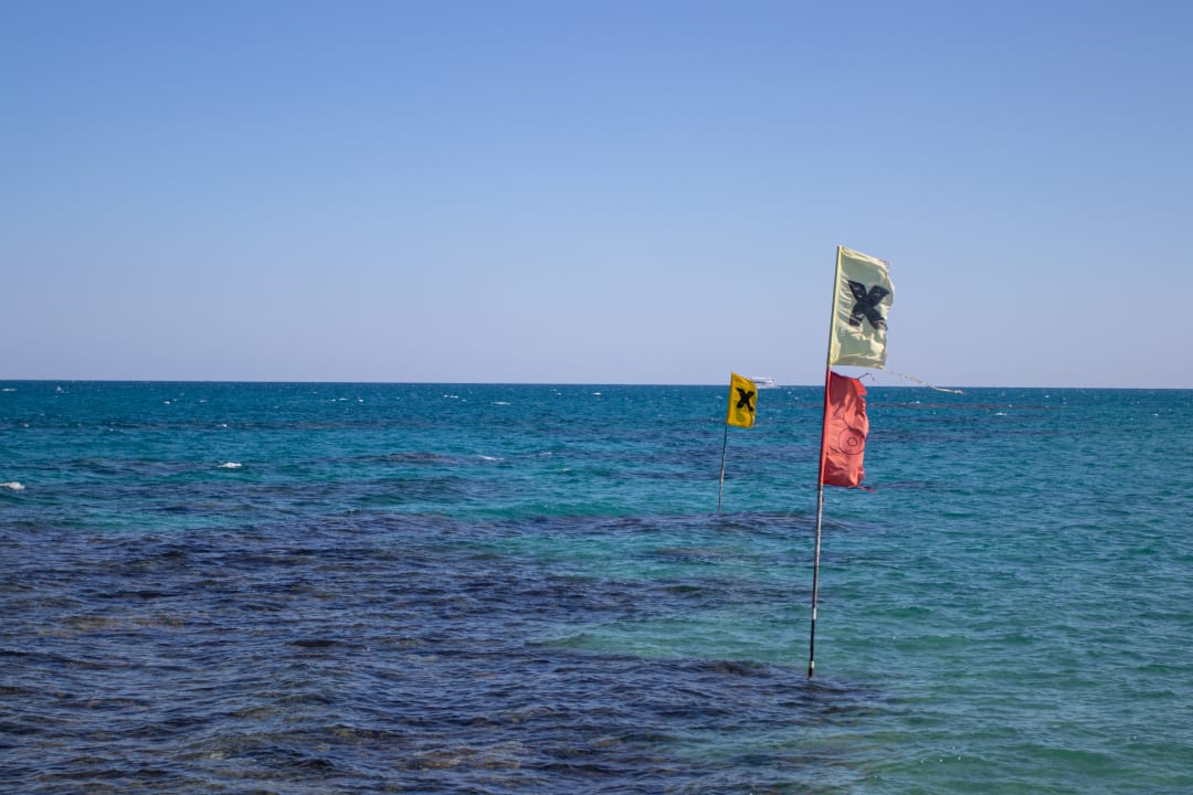 Ausblick Desert Rose