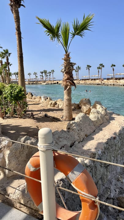 Ausblick Pickalbatros Citadel Resort