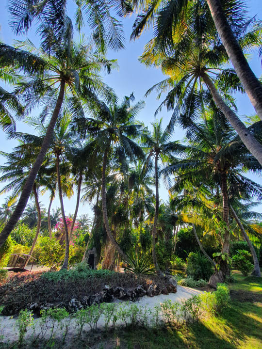 Gartenanlage Adaaran Select Meedhupparu Island Resort - Premium All Inclusive