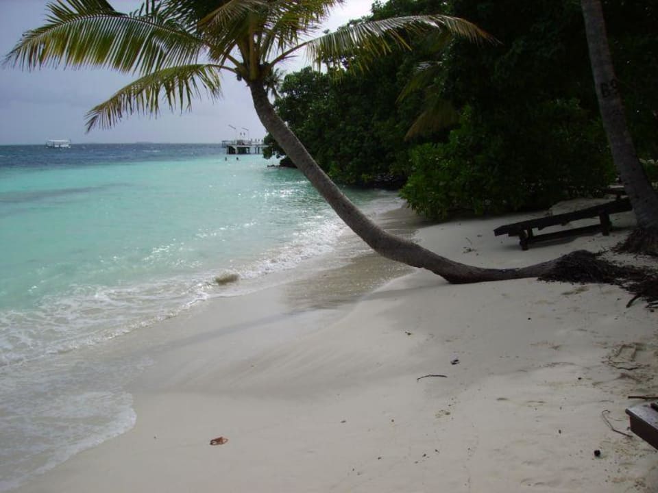 Traum  Vilamendhoo Island Resort & Spa