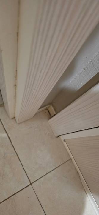 Zimmer Bull Dorado Beach & Spa