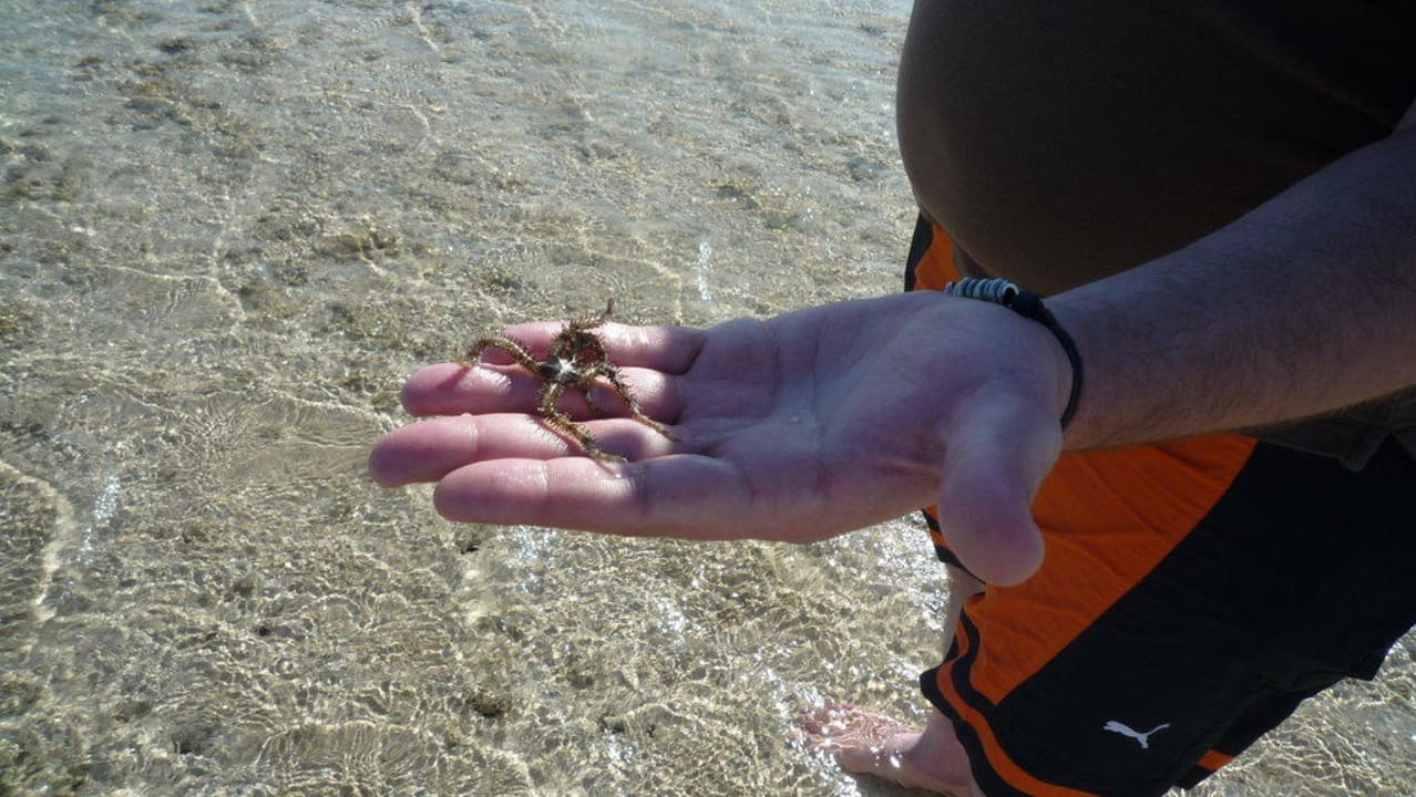 Seestern Titanic Beach Spa & Aqua Park