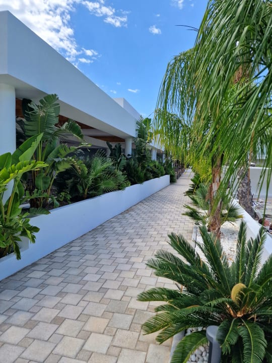 Gartenanlage White Dreams Resort & Anex