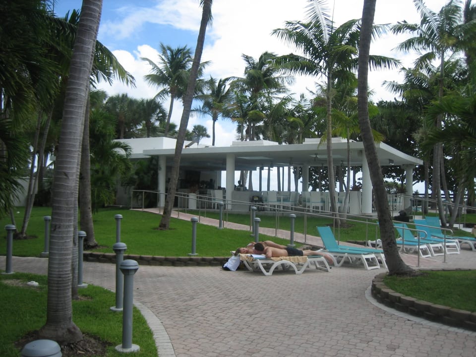 Überdachte Poolbar Hotel Riu Plaza Miami Beach