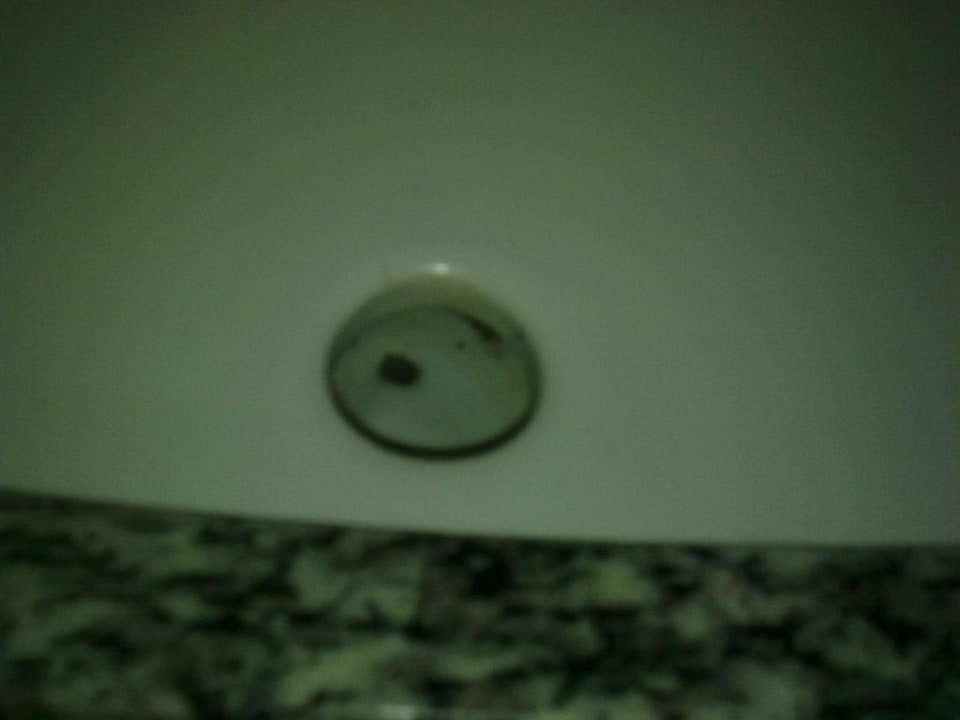 Dreck DORMERO Hotel Dessau-Roßlau