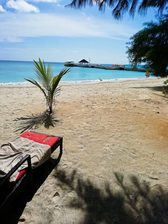 Strand Summer Island Maldives