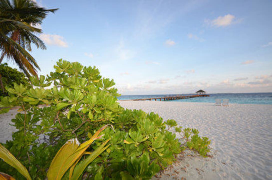 Zimmerblick auf den Strand  Adaaran Select Meedhupparu Island Resort - Premium All Inclusive