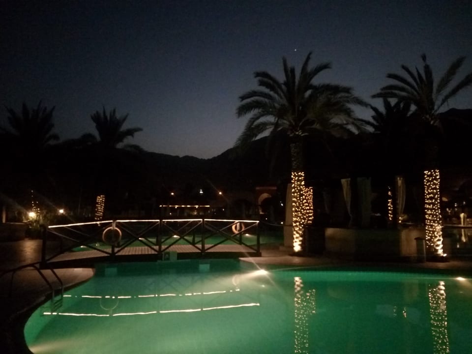 Pool Miramar Al Aqah Beach Resort