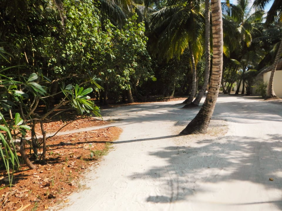 Garten Meeru Maldives Resort Island