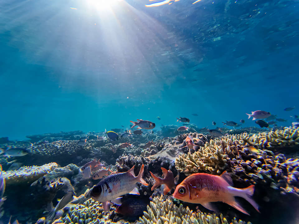 Strand Diamonds Thudufushi