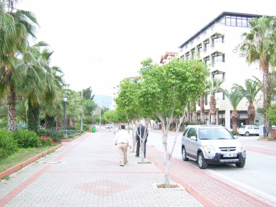 Aussicht Gardenia Hotel