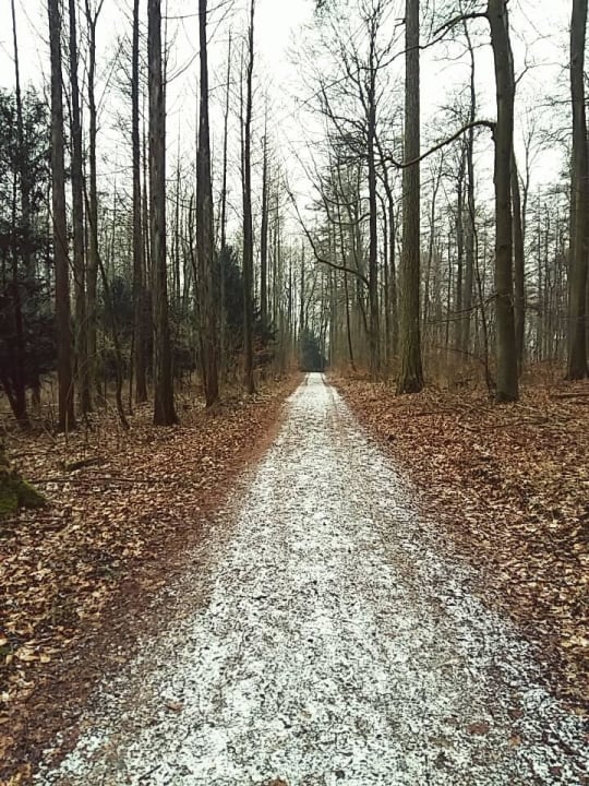 Park  Gräflicher Park Health & Balance Resort