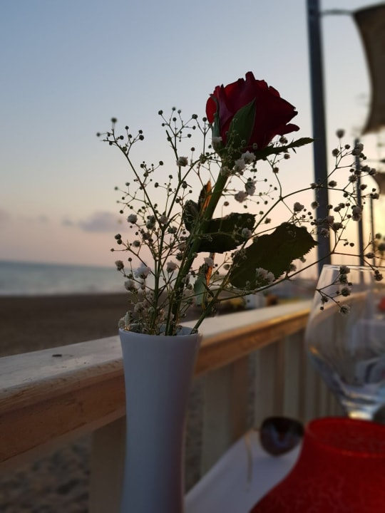 Restaurant Asteria Family Belek