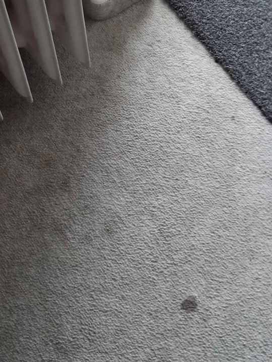 Zimmer Landhaus Renken am See