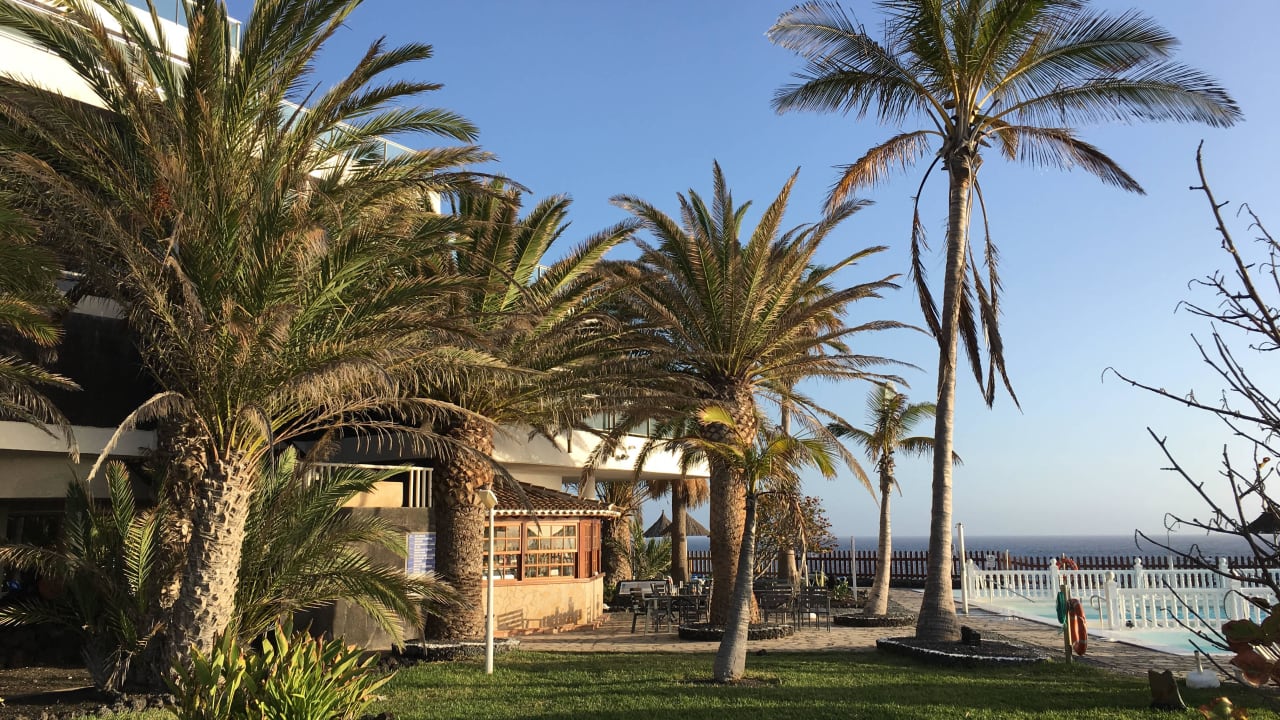 In der nähe vom Pool Melia La Palma Hotel