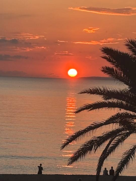 Ausblick Iberostar Selection Playa de Palma