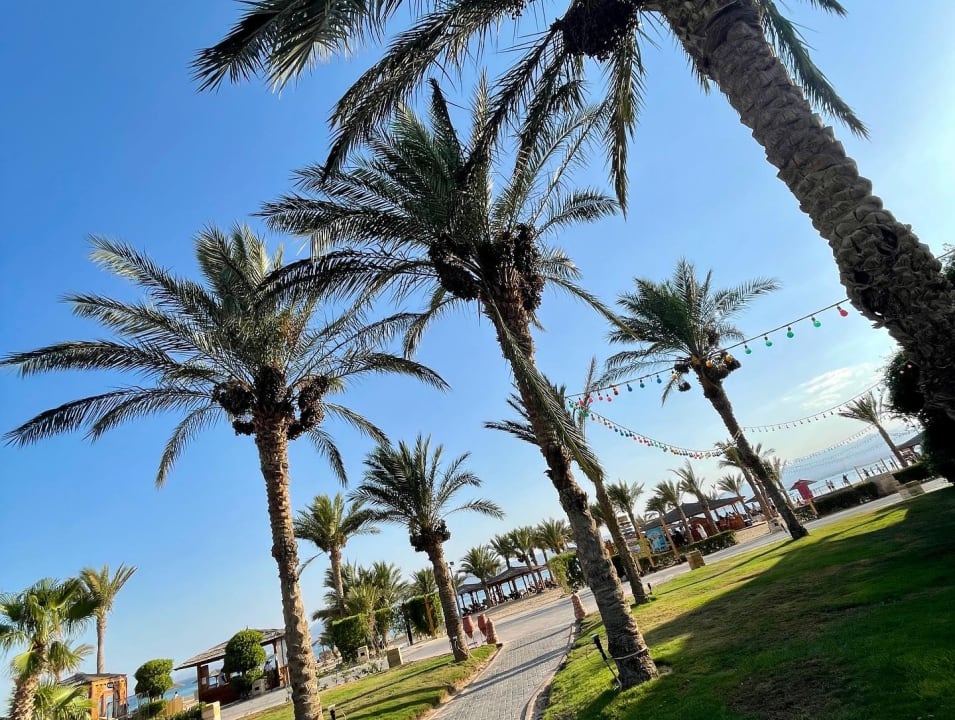 Strand ROBINSON SOMA BAY