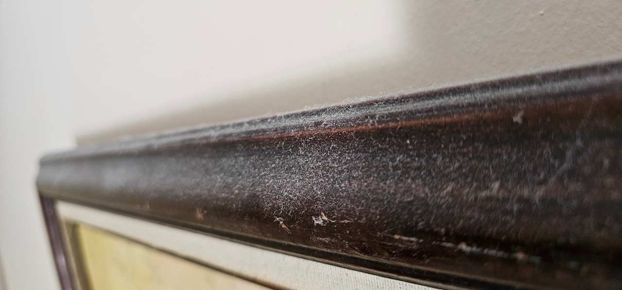 Zimmer Kamelya Aishen Club