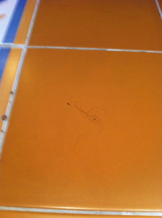 Überall Haare Memories Miramar Havana