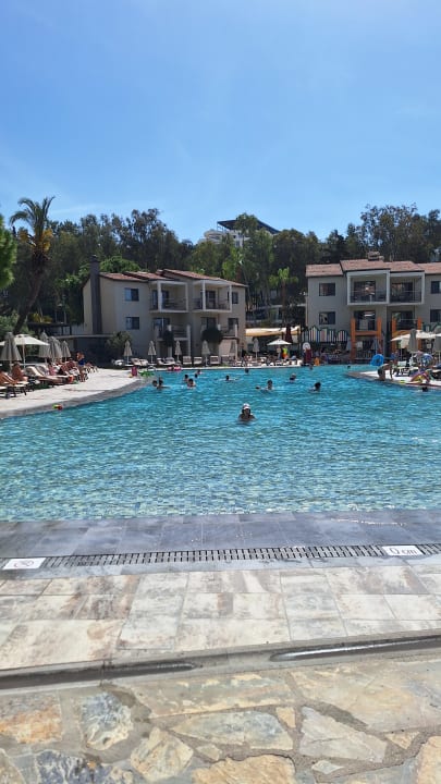 Pool Arum Barut Collection