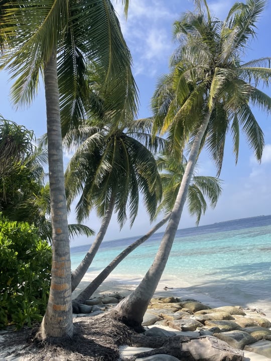 Strand Vilamendhoo Island Resort & Spa