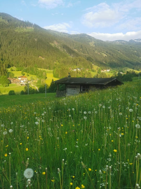 Außenansicht Natur-& Familienhotel Der Stieglerhof