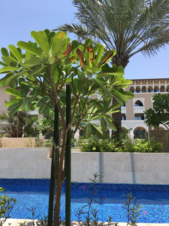 Ausblick Rixos Premium Saadiyat Island