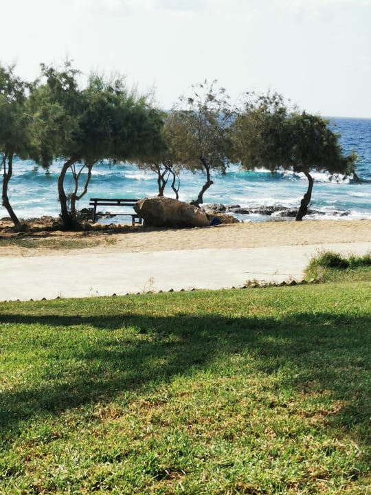 Strand Louis Paphos Breeze