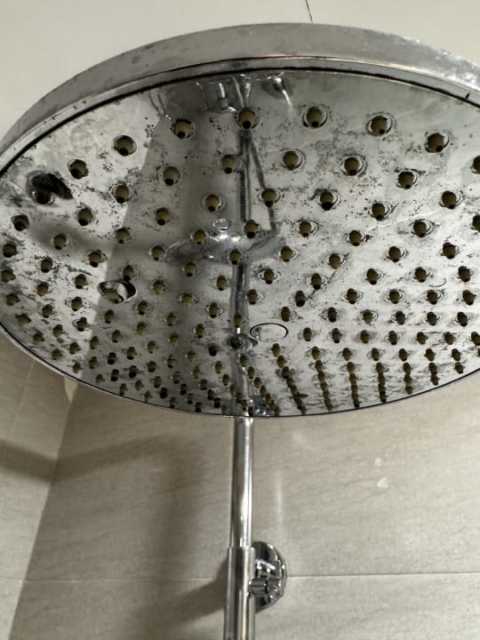 Zimmer Alcudia Garden Aparthotel