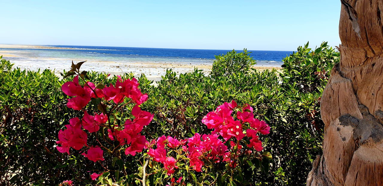 Ausblick Bliss Nada Beach Resort
