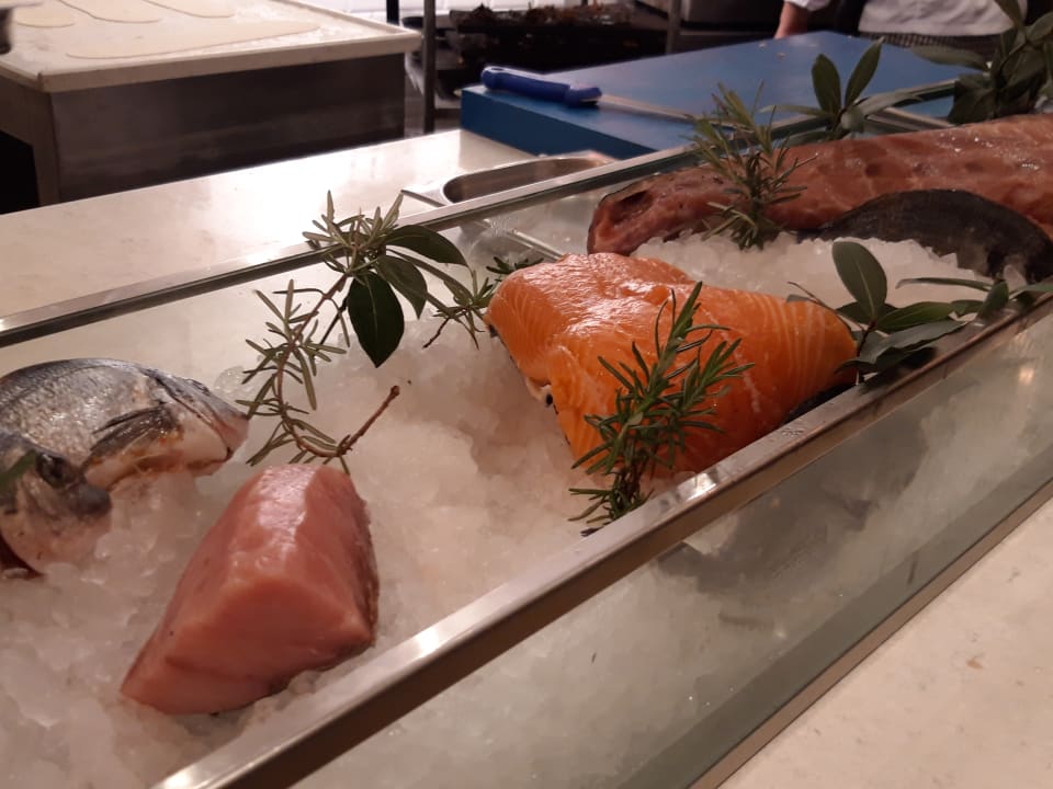 Gastro Lara Barut Collection