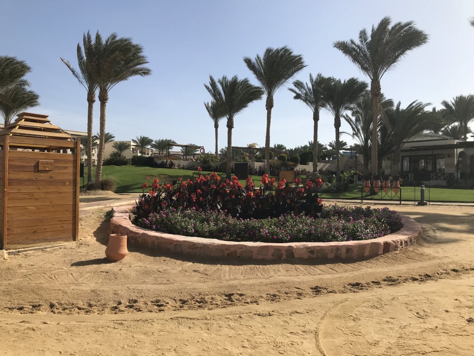 Gartenanlage Jaz Dar EL Madina