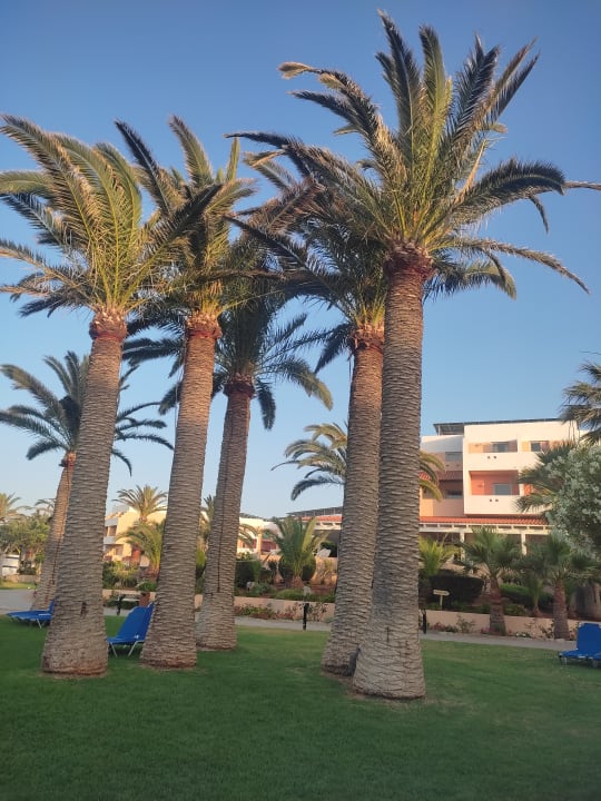 Gartenanlage Anissa Beach & Village