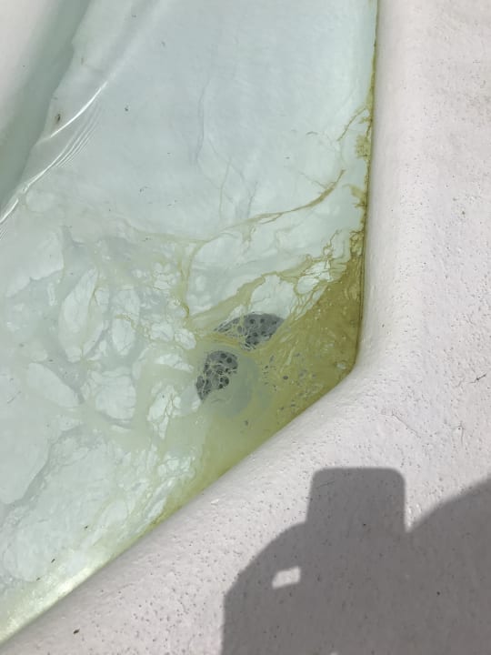 Zimmer Relaxia Olivina