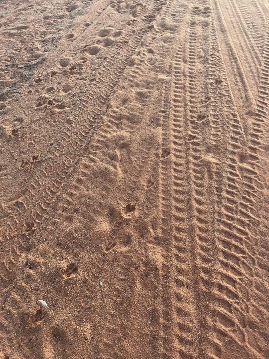 Sonstiges Kalahari Anib Lodge