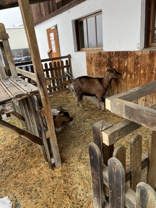 Gartenanlage Familienhotel Ramsi