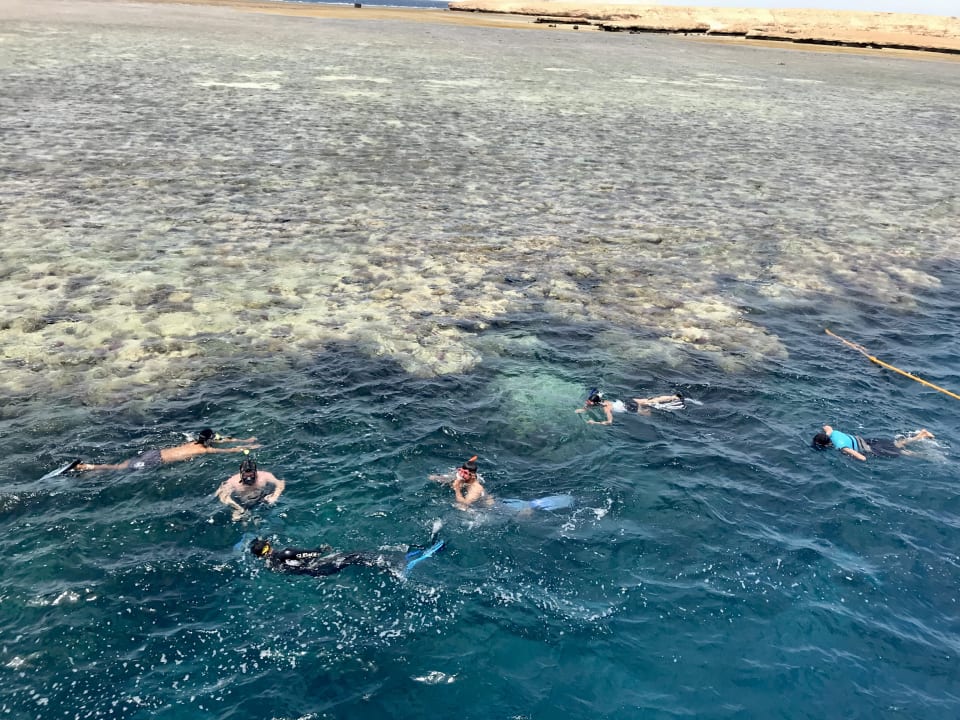 Sport & Freizeit Jaz Soma Beach