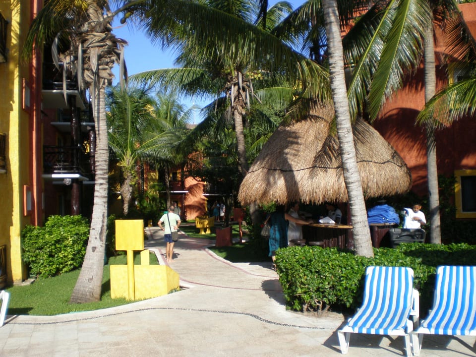 Weg zu den Zimmern The Reef Playacar