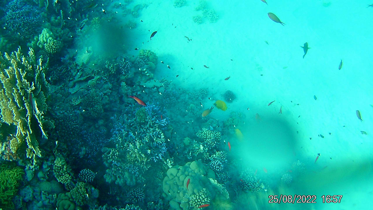 Sport & Freizeit Malikia Resort Abu Dabbab